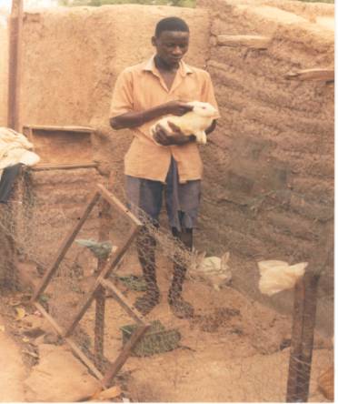 cliquer pour agrandir